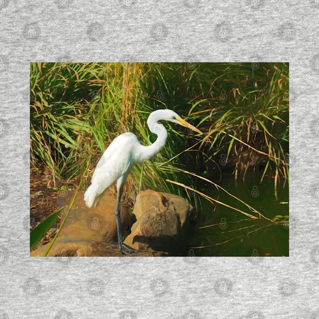 Great White Egret By Water by jillnightingale